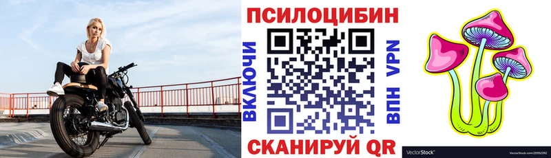 Галлюциногенные грибы Psilocybine cubensis  купить   Заволжск 